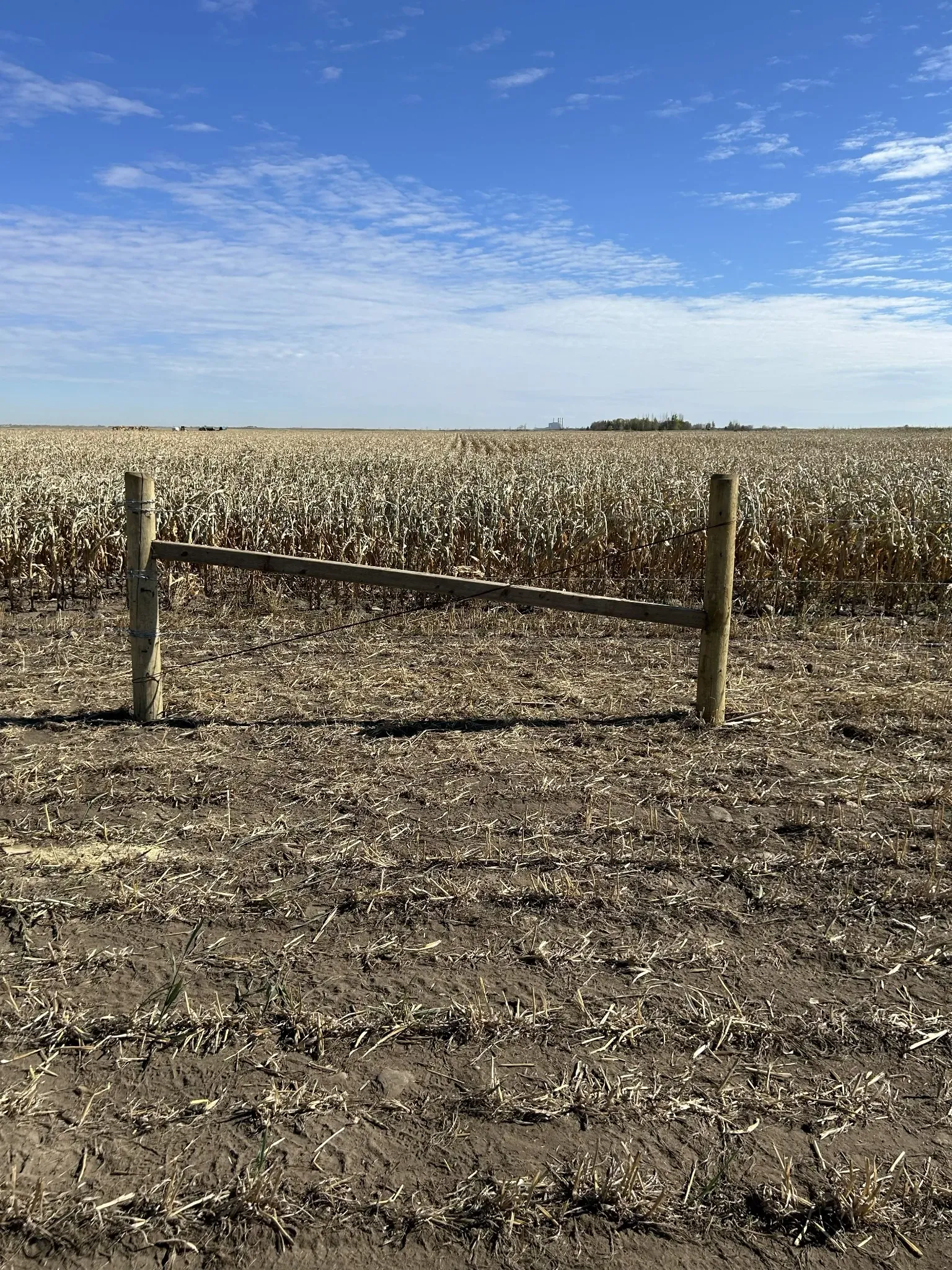 Fence posts and brace along Saskatchewan farmland with crop field and open prairie sky