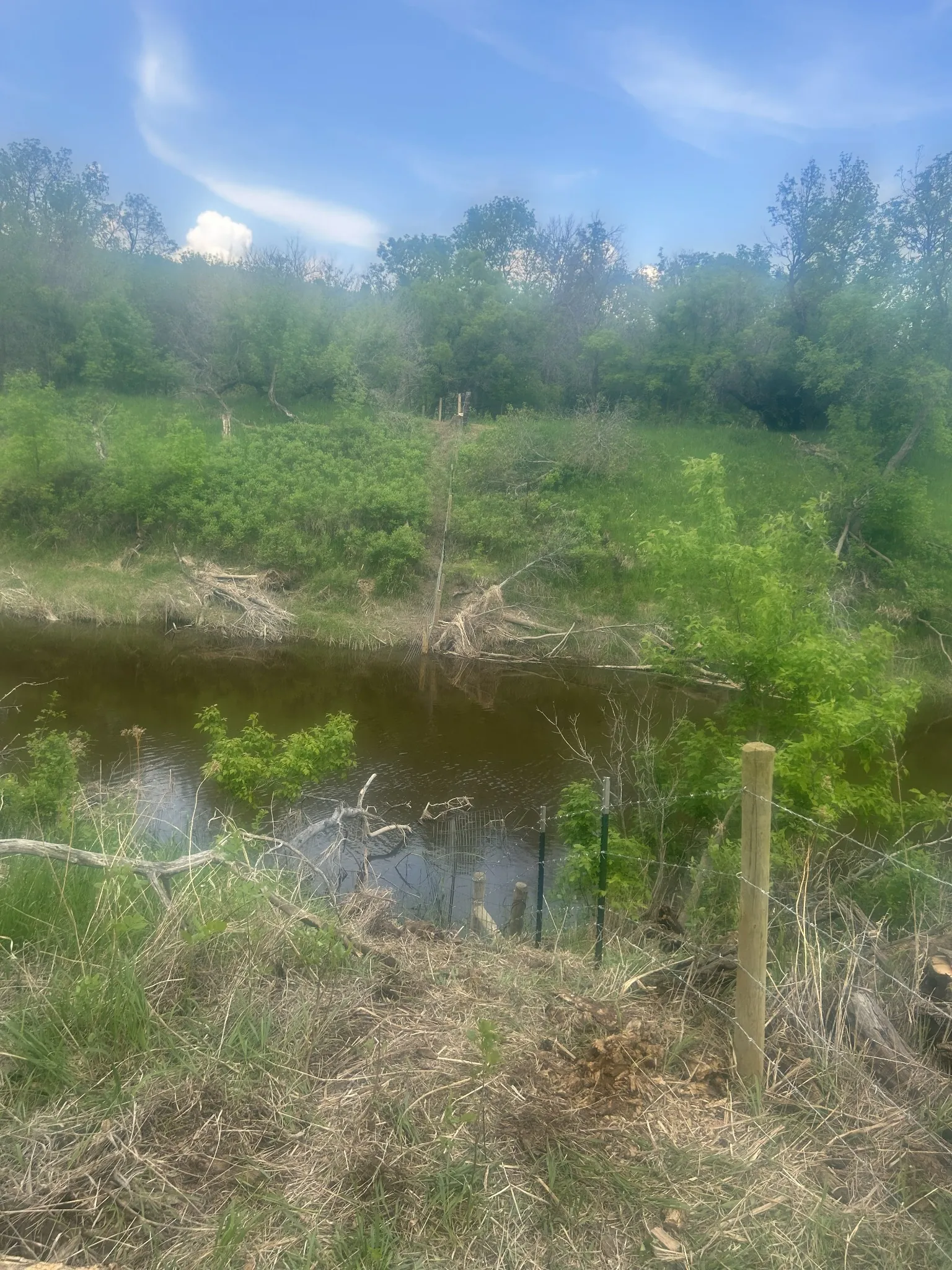 Fence line traversing creek terrain through green brush and water in rural Saskatchewan